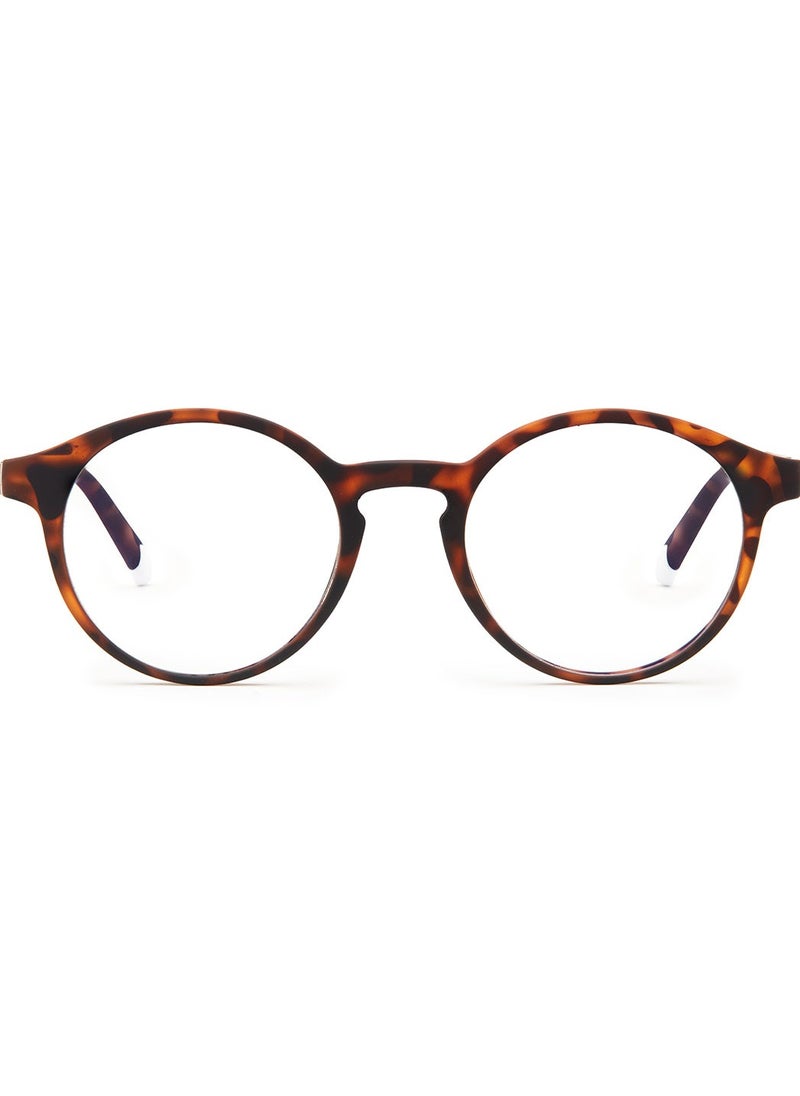 BARNER - BARNER: BLUE LIGHT Blocking Glasses for Men and Women. Computer Glasses, Screen Glasses. Gaming Glasses. Neutral Lenses. Le Marais - Round Frame | Color: Tortoise - Image 1