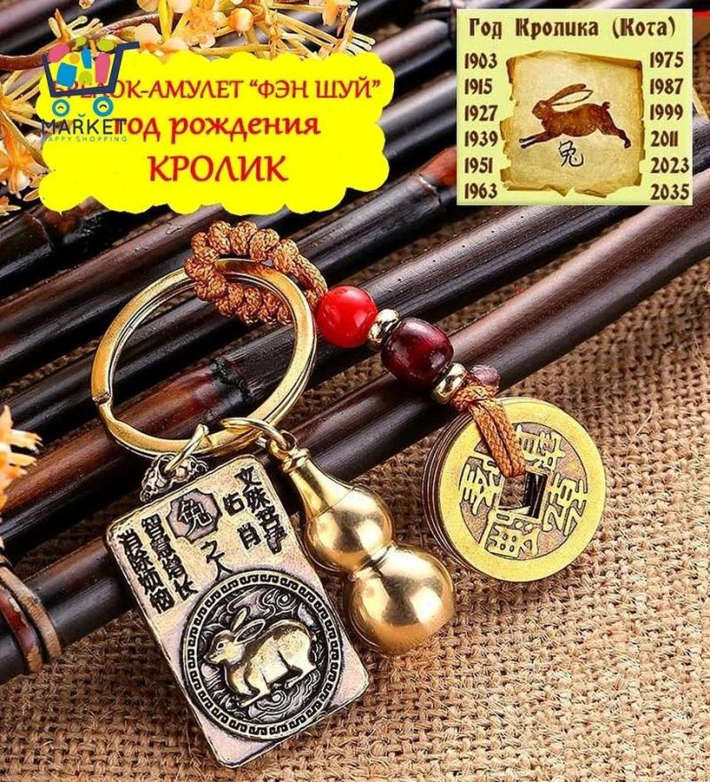 Feng Shui Keychain: Bronze Zodiac Rabbit Charm - Positive Energy Protection Amulet for Unisex Adults Seeking Luck Prosperity Health Career Family - Image 1