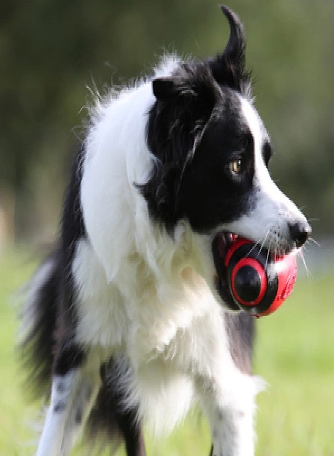 Nerf Dog Rubber Football Dog Toy with Interactive Squeaker, Lightweight, Durable and Water Resistant, 5 Inch Diameter for Medium/Large Breeds, Single Unit, Red - Image 4