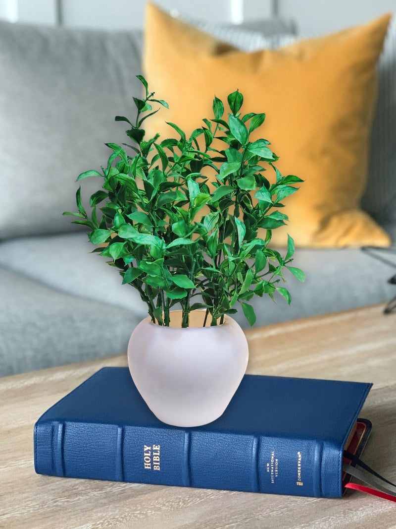 ARTSY® Artificial Plants with Pot for Home Decor, Leaves, Plants for Pot/vase, Home/Office Decor, Gift, Craft, Artificial Flowers with Pot, Combo, Pack of 1 Piece, 35 cm Height, Green Mix - Image 3
