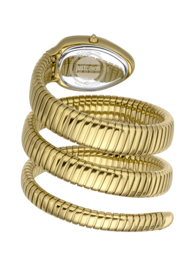 Just Cavalli ساعة نسائية جلام إيفو 9 دوبيو ذهبية صفراء وخضراء JC1L224M0045 - Image 3