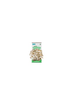Back to the Roots Back to the Roots Organic Oyster Mushroom Grow Kit  - Image 1
