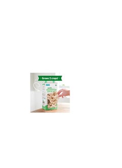 Back to the Roots Back to the Roots Organic Oyster Mushroom Grow Kit  - Image 2