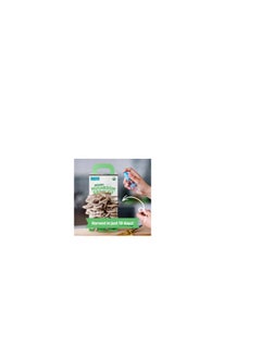 Back to the Roots Back to the Roots Organic Oyster Mushroom Grow Kit  - Image 3