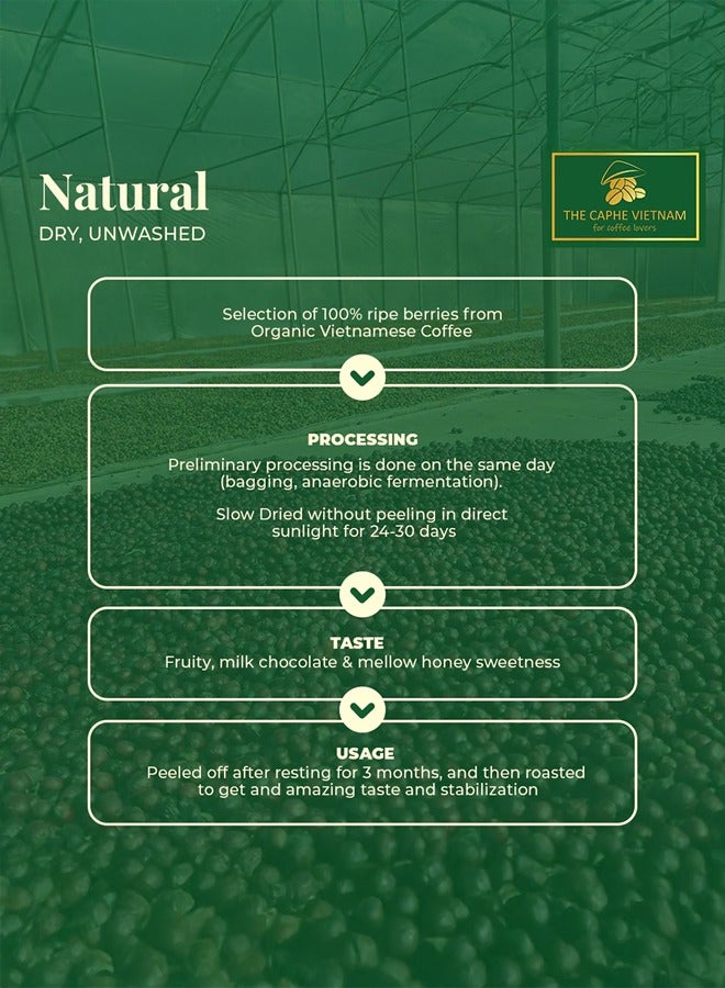 The Caphe Vietnam Fine Robusta Ground Coffee - 1 KG | Natural Process | Medium Roast, 100% Organic Robusta | Vietnamese Coffee Ground - Image 4