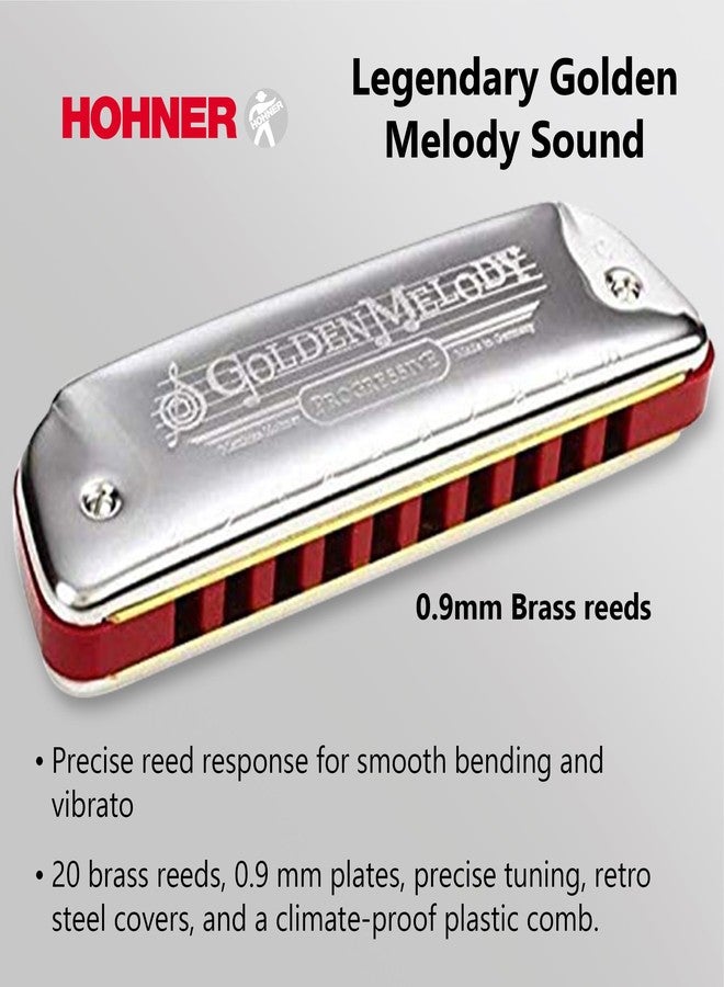 Hohner Golden Melody Harmonica - Key of C Bundle with Zip Case, Instructional Manual, and Austin Bazaar Polishing Cloth - Image 5