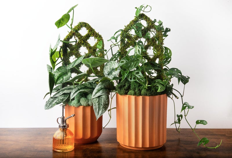 SuperMoss Plant Trellis - Decorative Garden Trellis for Climbing Plants Indoor & Outdoor | Moss-Covered Plant Support for Raised Garden Bed, Patio, Planters, and Garden Decor, Mini 17" X 6.5", Diamond - Image 3