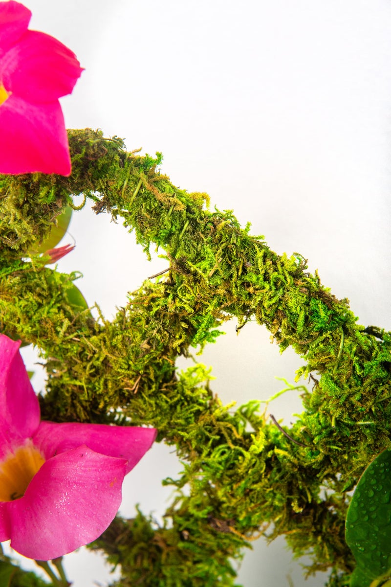 SuperMoss Plant Trellis - Decorative Garden Trellis for Climbing Plants Indoor & Outdoor | Moss-Covered Plant Support for Raised Garden Bed, Patio, Planters, and Garden Decor, Mini 17" X 6.5", Diamond - Image 2