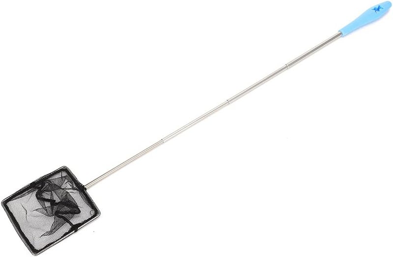 Extendable Stainless Steel Aquarium Fine Mesh Net Skimmer for Shrimp Fish with Long Handle, Blue, Square and Round, 23.5" Length, 1 Fishing Net - Image 5