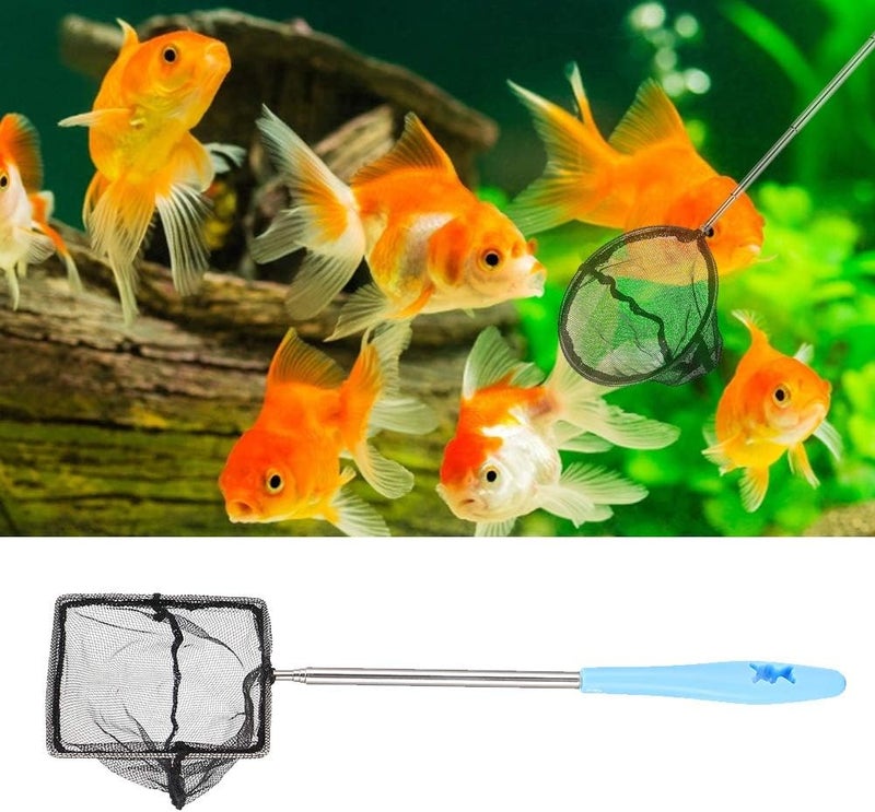 Extendable Stainless Steel Aquarium Fine Mesh Net Skimmer for Shrimp Fish with Long Handle, Blue, Square and Round, 23.5" Length, 1 Fishing Net - Image 3