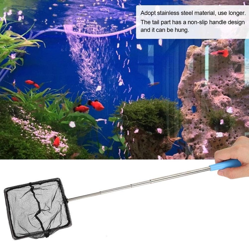 Extendable Stainless Steel Aquarium Fine Mesh Net Skimmer for Shrimp Fish with Long Handle, Blue, Square and Round, 23.5" Length, 1 Fishing Net - Image 2