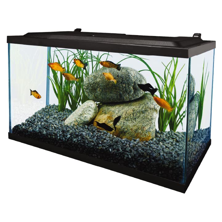 Tetra Aquarium, 10 Gallon, Complete Tropical Fish Tank Kit with LED Lighting for Freshwater Fish - Image 2