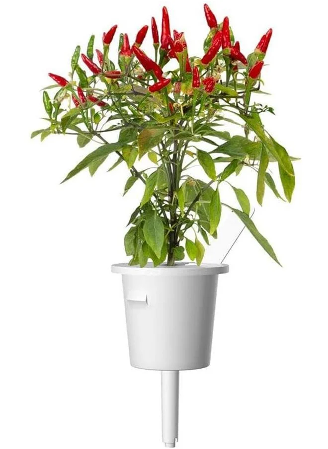 Click & Grow Click & Grow Plant Pods Piri Piri Chili