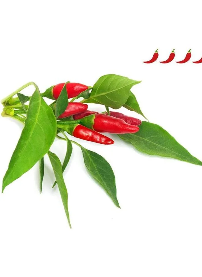 Click & Grow Click & Grow Plant Pods Piri Piri Chili
