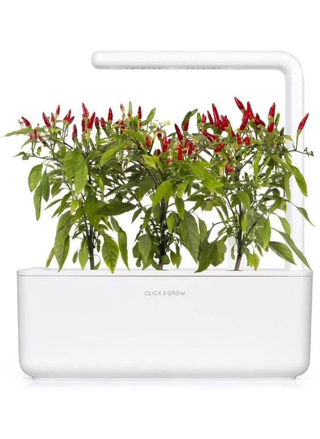 Click & Grow Click & Grow Plant Pods Piri Piri Chili