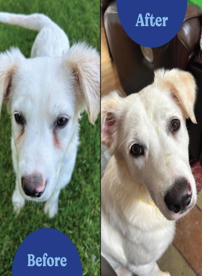 ANGELS' EYES NATURAL PLUS Tear Stain Prevention Beef Powder for Dogs | All Breeds | No Wheat No Corn | Daily Support for Eye Health | Proprietary Formula |Limited Ingredients | Net Content 75g - Image 3