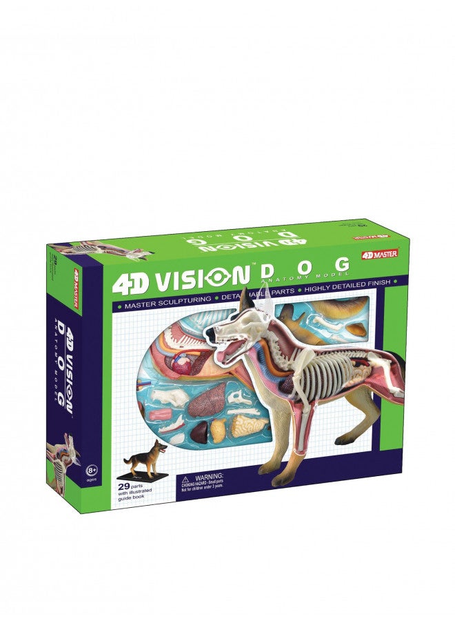 نموذج تشريح كلب 4D من تيدكو