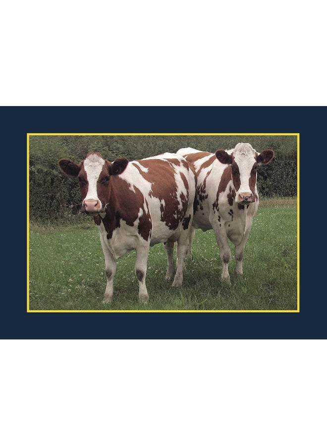 تعرف على أبقارك - Image 5