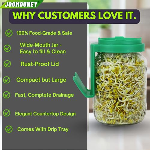 JOOMOUNEY Sprouts Making Glass Jar with Seeds, Sprouter with Mesh Lid | Reusable Sprout Maker Jar for Beans Grains & Seeds | Odor-Free Easy Drainage Hygienic BPA-Free(GREEN PACK OF ONE) - Image 3