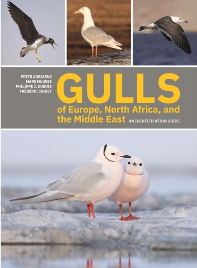 Gulls of Europe, North Africa, and the Middle East : An Identification Guide