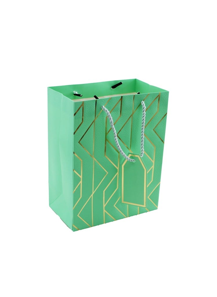 PARTY FUN - Paper Gift Bag - 18x10x23cm Perfect for Birthday, Wedding, Anniversary, and Special Occasions Green Color - Image 1