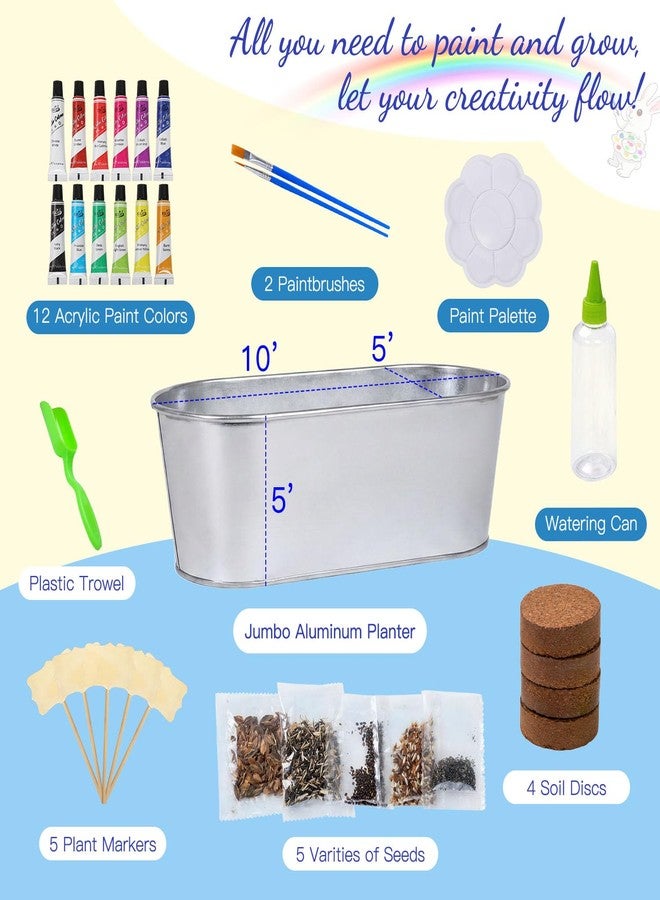 TitaniX Large Paint & Plant Flower Growing Kit for Kids with 5 Flower Seeds, Gift Ideas Age 5 6 7 8-12 Years, Fun Kids Gardening Set, Birthday Crafts Gifts for Girls & Boys, Art Projects for Ages 5-12 Years - Image 3