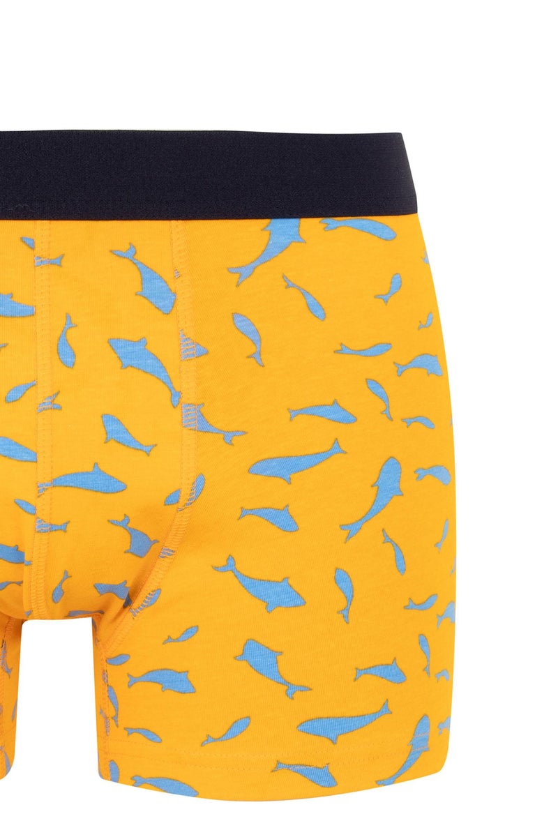 DeFacto Man Man 3 piece Regular Fit Boxer  - Image 4