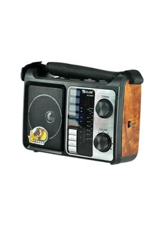 Golon Golon RX-333BT Portable Radio FM AM SW1-2 Quad Band Outdoor and Home Use with Bass X Vintage Design (Multicolor)  - Image 1