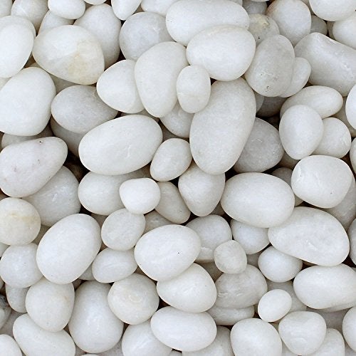 Maalavya Polished White Color Pebbles Glossy Stones for |Home Decorative|Vase Fillers|Aquarium Fish Tank|Garden|Table Under Glass Decor| (Unpolished 1 Kg) - Image 1