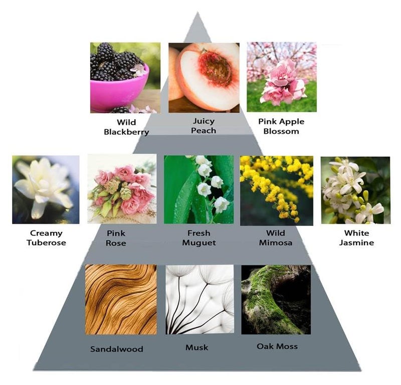 Perry Ellis 360 Purple By Perry Ellis 3.4 oz Eau De Parfum Spray for Women - Image 1