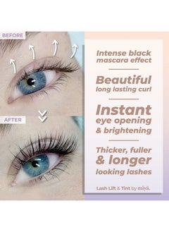 MIYA LASH MIYA LASH Lash Lift & Brow Lamination Kit | Black, Voluminous Eyebrows & Eyelashes Color Kit | Professional 8 Weeks Result | LVL, Perm, Laminate | Keratin Brow Lift & Lash Lift Kit with All tools  - Image 2