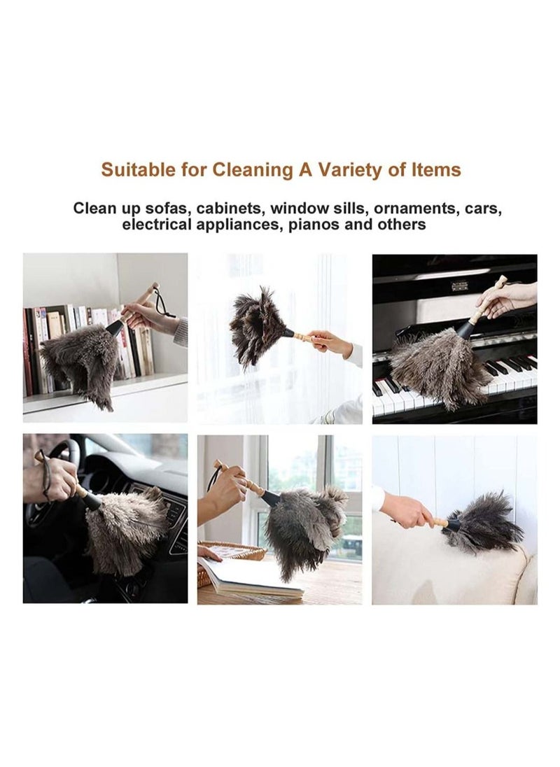 Generic - Feather Duster with Protective Cover Anti Static Flexible Bendable for Dust Cleaning Interior Roof - Image 1