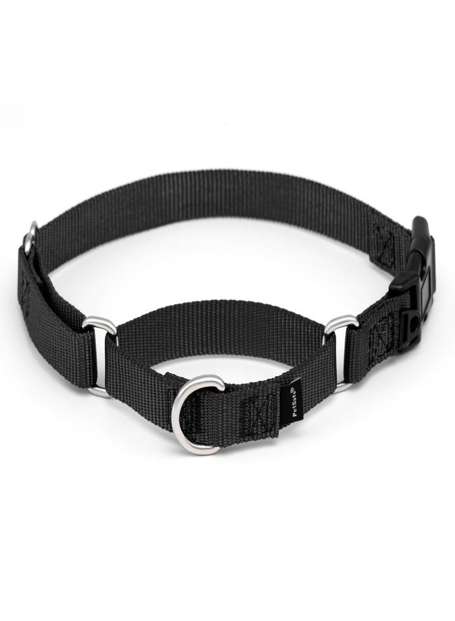 PetSafe Martingale Dog Collar with Quick-Snap Buckle - Medium, 3/4 Inch, Black - Image 1