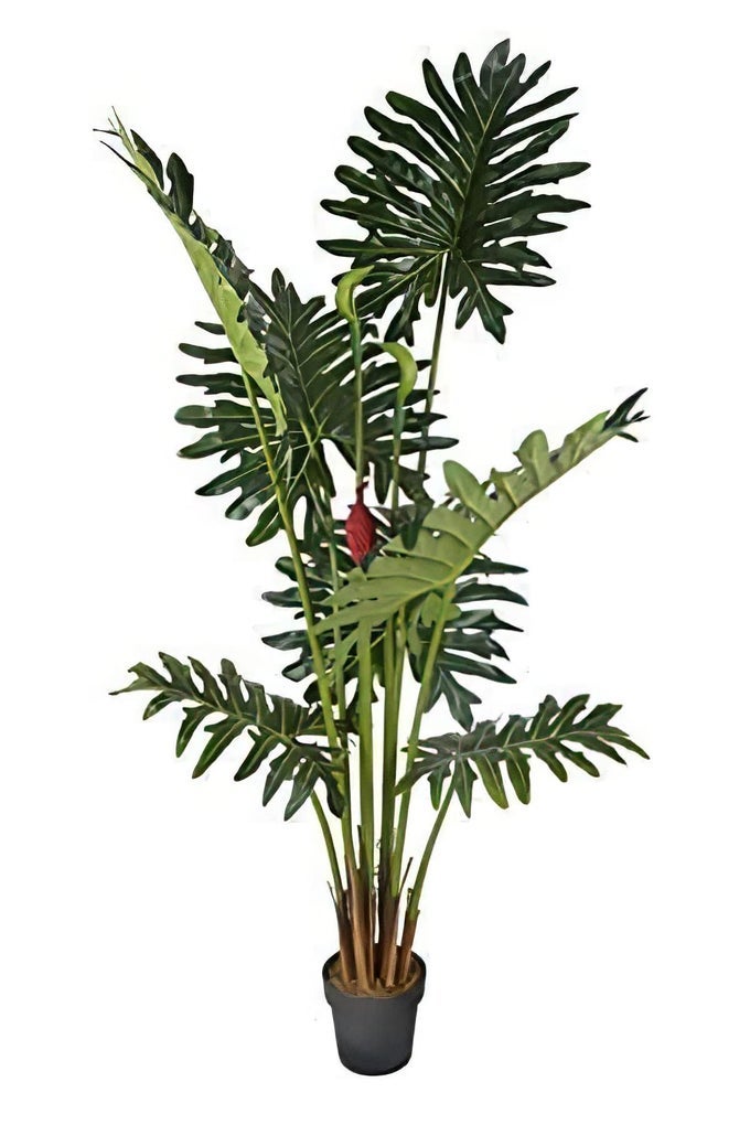 7 EXOTIC AND RARE TROPICAL PHILODENDRON SCHOTT ARECACEAE TREE ARTIFICIAL SILK PLANT WITH UV PROTECTION WITH NURSERY PLASTIC POT FEEL REAL TECHNOLOGY SUPER QUALITY 7 FEET GREEN