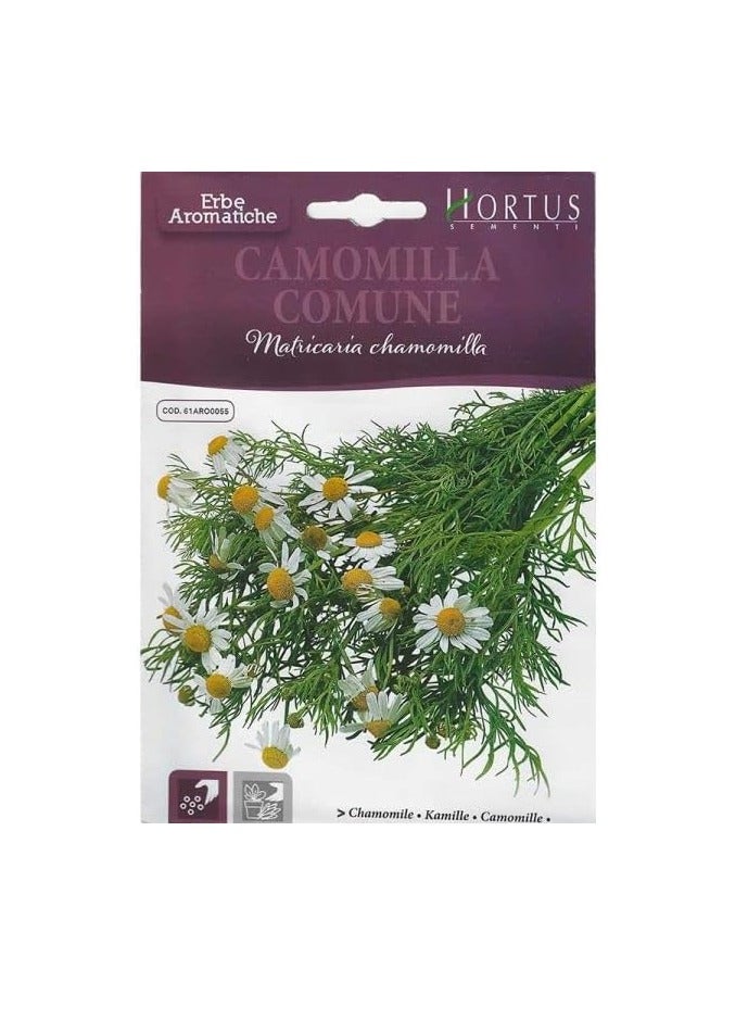 Generic Chamomile 'Camomilla Comune' Premium Quality Seeds by Hortus "Garden Care" 