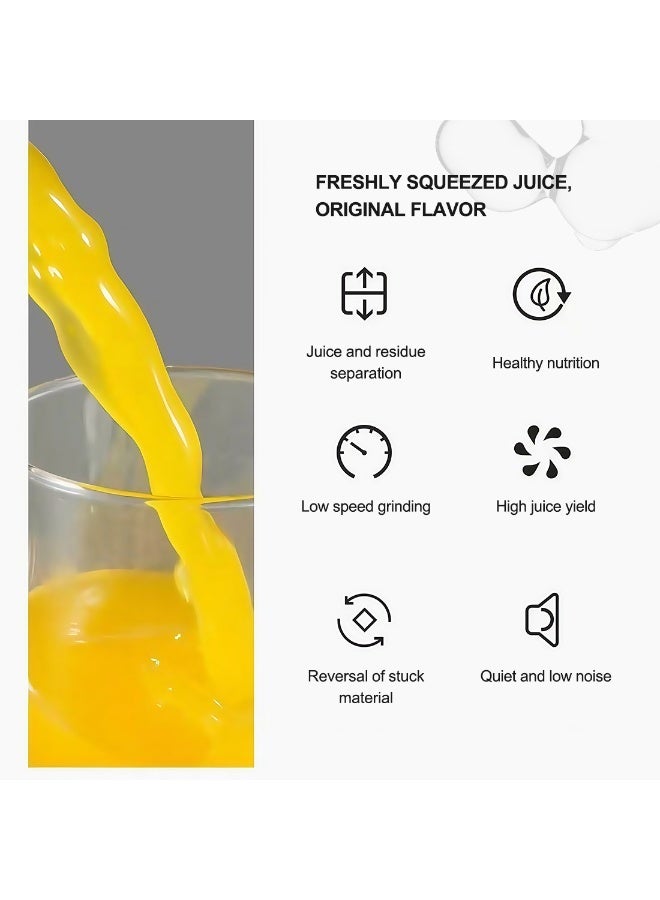 ET-LIFE Slow Masticating Juicer, Slow juicer, Fruit/Vegetable Juicer, Cold Press Juicer with High Output Silver - Image 5