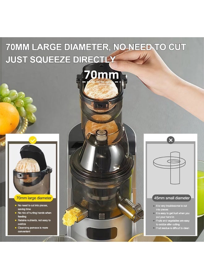 ET-LIFE Slow Masticating Juicer, Slow juicer, Fruit/Vegetable Juicer, Cold Press Juicer with High Output Silver - Image 2