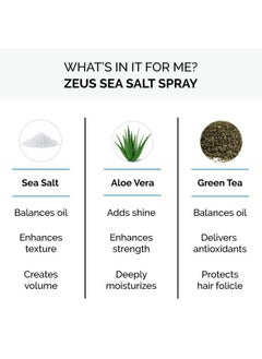 Zeus Texturizing Sea Salt Spray For Hair Beachy Waves Low Shine Easy Mist Spray For All Hair Types Made In Usa (6 Oz.)  - Image 4