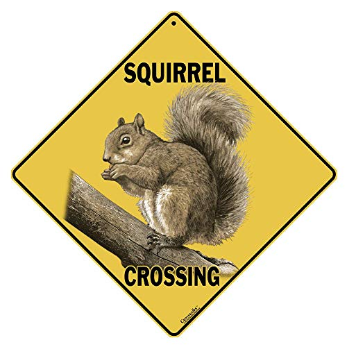 CROSSWALKS Squirrel Crossing 12" X 12" Aluminum Sign (X315) - Image 1