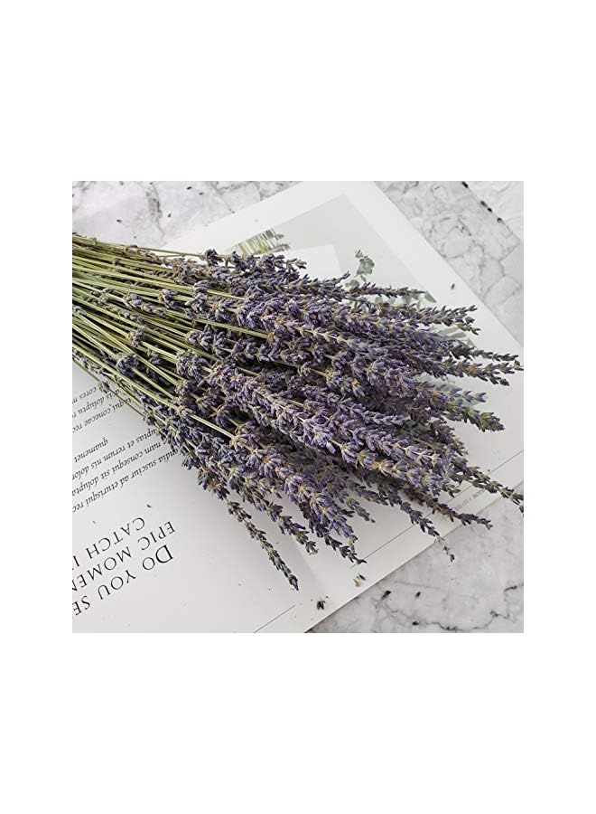 The Bros 250 Stems 100% Natural Purple Dried Lavender for DIY Floral Arrangements - Image 2