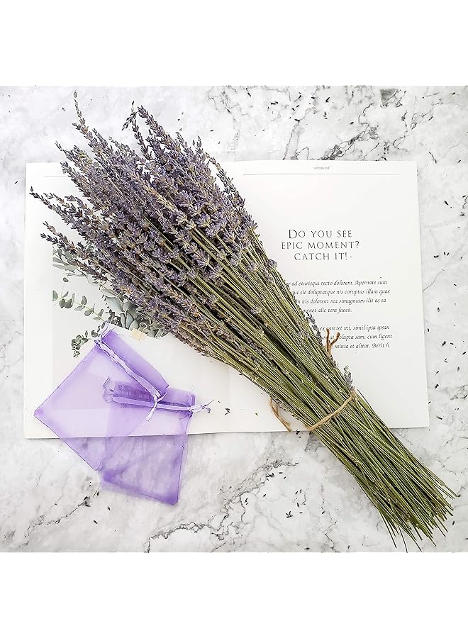 The Bros 250 Stems 100% Natural Purple Dried Lavender for DIY Floral Arrangements - Image 1
