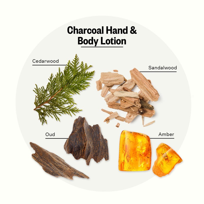 APOTHEKE Scented Hand & Body Lotion, Charcoal - 10 Fl Oz Nourishing Body Moisturizer Cream for Dry Skin - Gentle Daily Skincare for Men & Women with Natural Ingredients, All Skin Types - Image 2