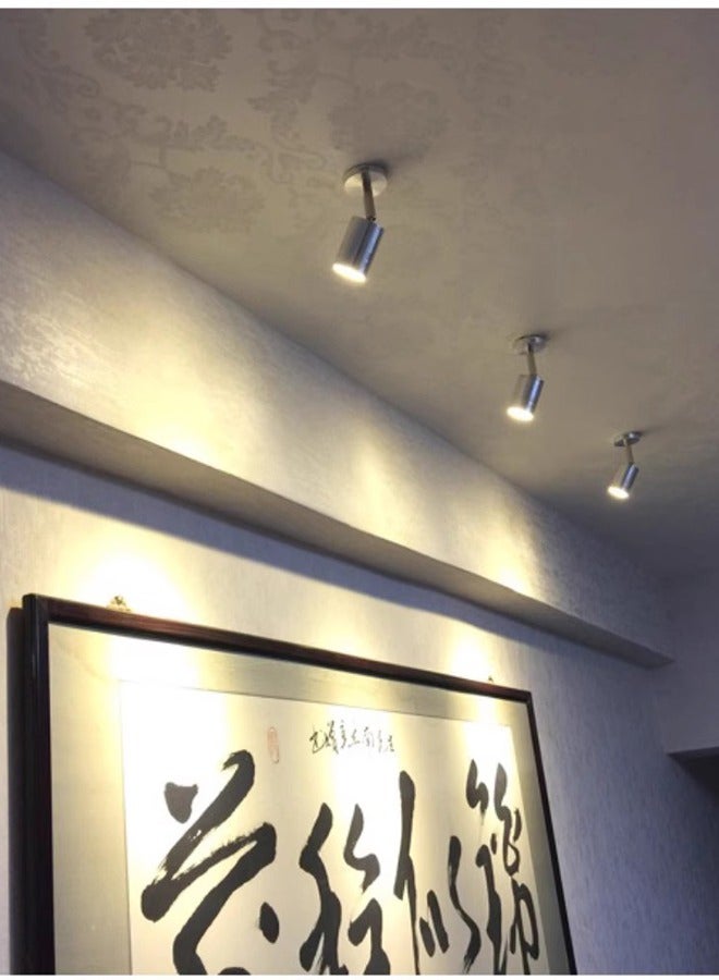 إضاءة بقعة LED فضية صغيرة قابلة للتعديل، 3 وات 220 فولت - 240 فولت 3000 كيلو أبيض دافئ يدور على الحائط وتركيبات السقف مصباح الاستوديو للخزانة والمرآة والممر وغرفة النوم وغرفة الجلوس - Image 5