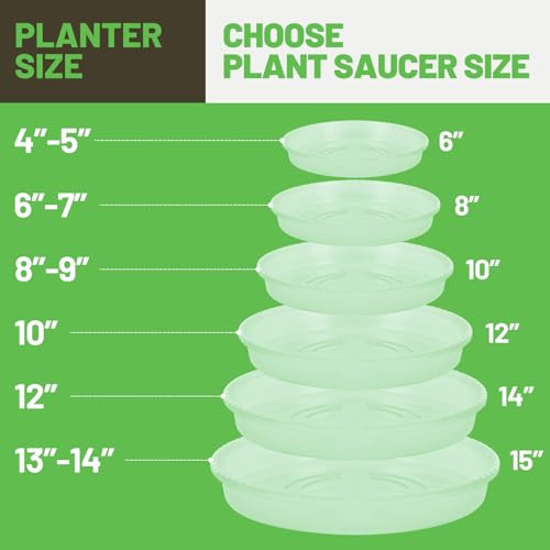 MUDEELA 6 Pack of 6 Inches Plant Saucers for Indoor, Durable Plastic Round Plant Tray Plant Dish Pant Plate to Catch Water for Flower and Plant Pot, Thicker, Stronger, Deeper, Clear - Image 3