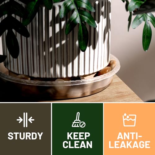 MUDEELA 6 Pack of 6 Inches Plant Saucers for Indoor, Durable Plastic Round Plant Tray Plant Dish Pant Plate to Catch Water for Flower and Plant Pot, Thicker, Stronger, Deeper, Clear - Image 4
