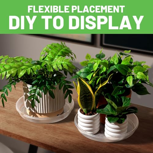 MUDEELA 6 Pack of 6 Inches Plant Saucers for Indoor, Durable Plastic Round Plant Tray Plant Dish Pant Plate to Catch Water for Flower and Plant Pot, Thicker, Stronger, Deeper, Clear - Image 5