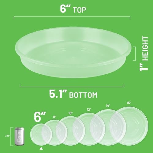 MUDEELA 6 Pack of 6 Inches Plant Saucers for Indoor, Durable Plastic Round Plant Tray Plant Dish Pant Plate to Catch Water for Flower and Plant Pot, Thicker, Stronger, Deeper, Clear - Image 2