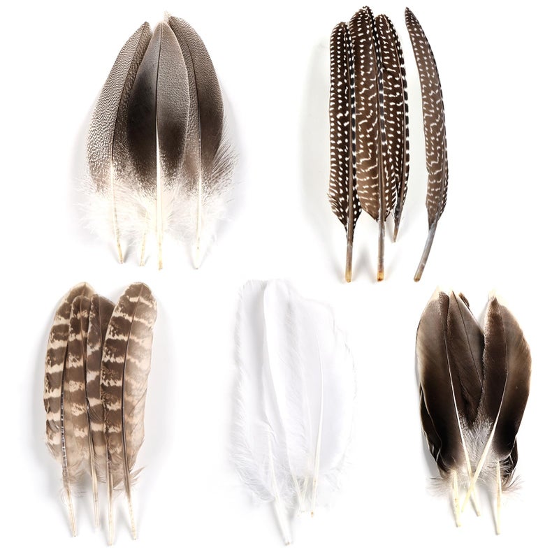 MAOFENG 20pcs Natural Pheasant Feathers Bulk 5 Styles Mixed Feathers Spotted Feathers for Craft DIY Wedding Home Hat Floral Arrangements Holiday Decorations - Image 2