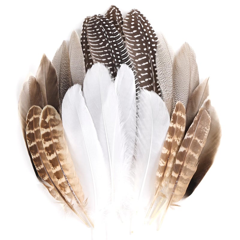 MAOFENG 20pcs Natural Pheasant Feathers Bulk 5 Styles Mixed Feathers Spotted Feathers for Craft DIY Wedding Home Hat Floral Arrangements Holiday Decorations - Image 1