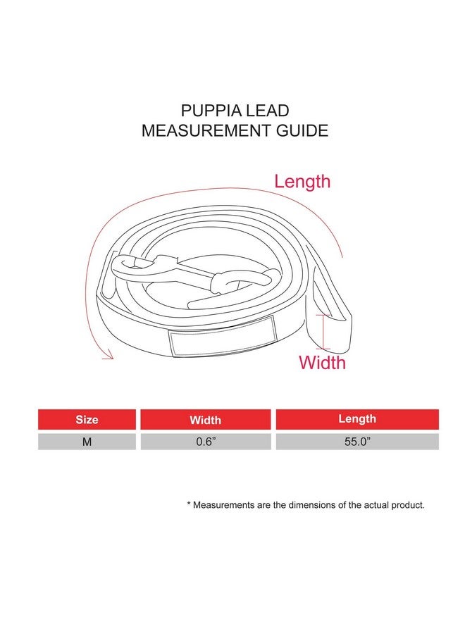 بوبيا مقود كلاب بوبيا دوغلاس بنقشة ماسية للكلاب الصغيرة والمتوسطة، أسود، متوسط - Image 3